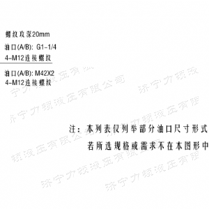 BMV車(chē)輪系列馬達(dá)